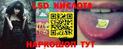 крисы Кунгур