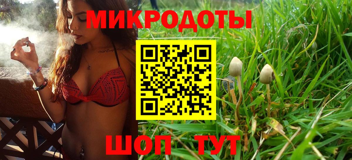 Вятские Поляны  Галлюциногенные грибы Cubensis  Вход с VPN 